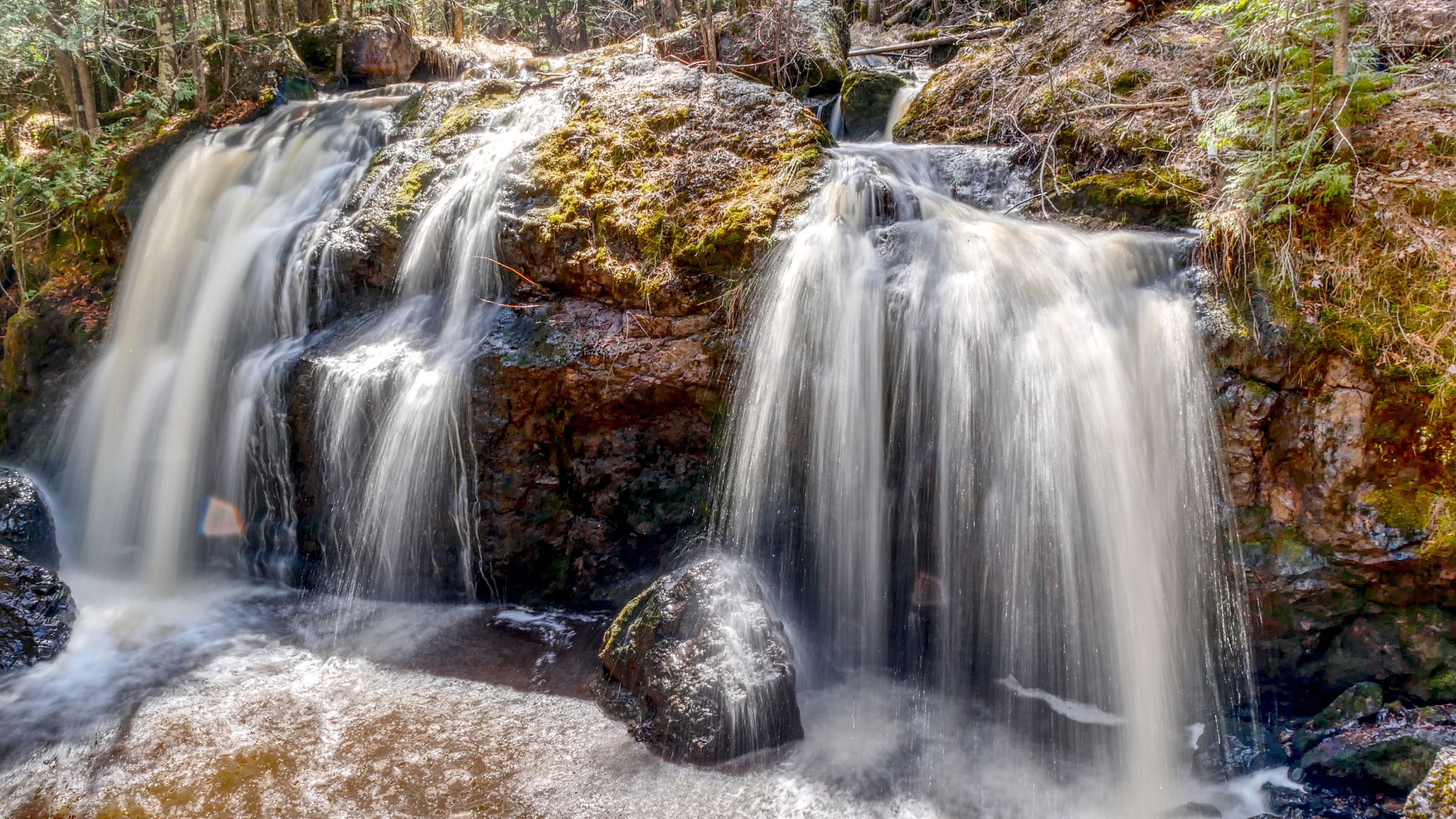 Submission 1440 MR Image12